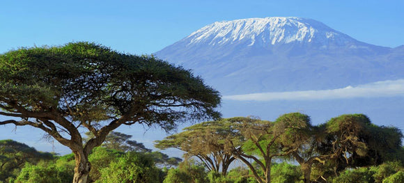 Aventura en el Kilimanjaro