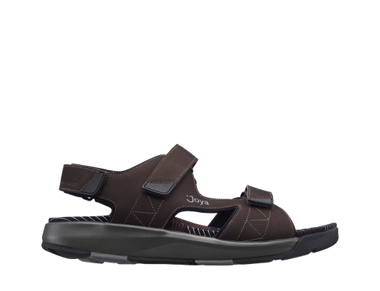 Alexander Dark Brown