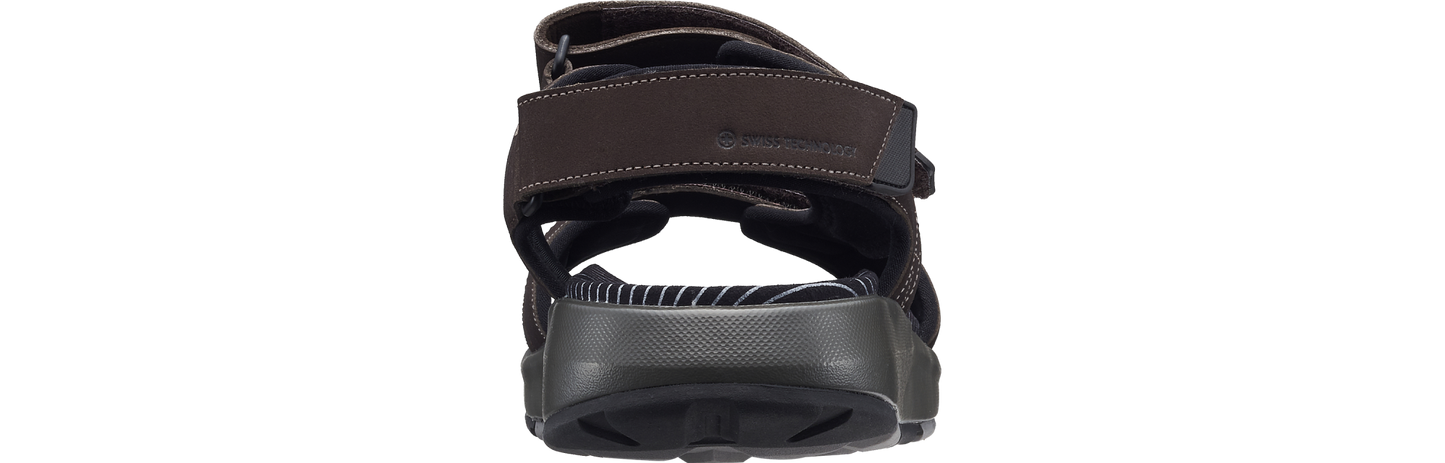 Alexander dark brown