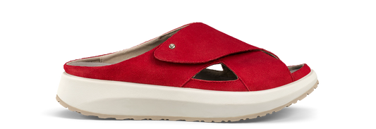 Alicante Red