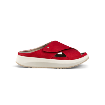Alicante Red