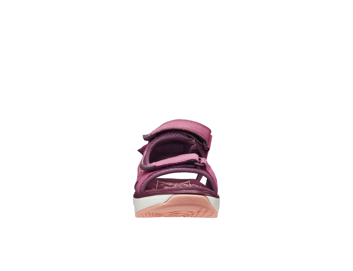 Komodo Violet