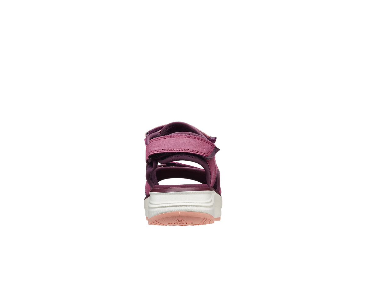 Komodo Violet