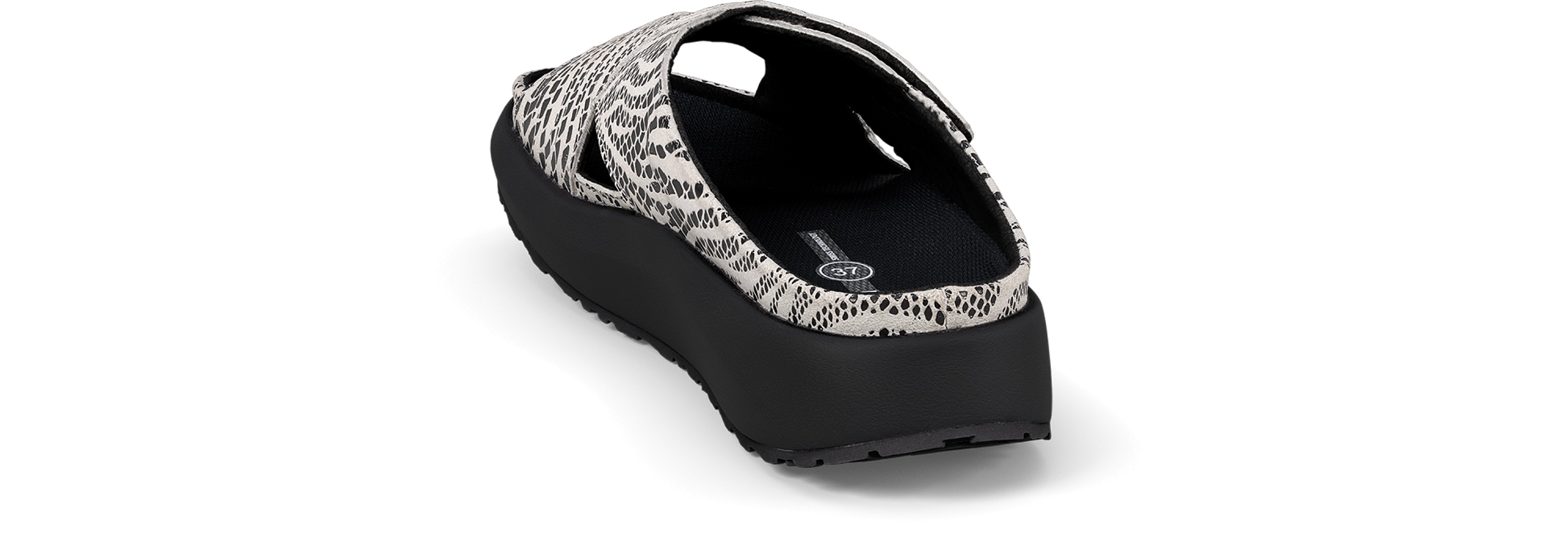 Alicante black-white