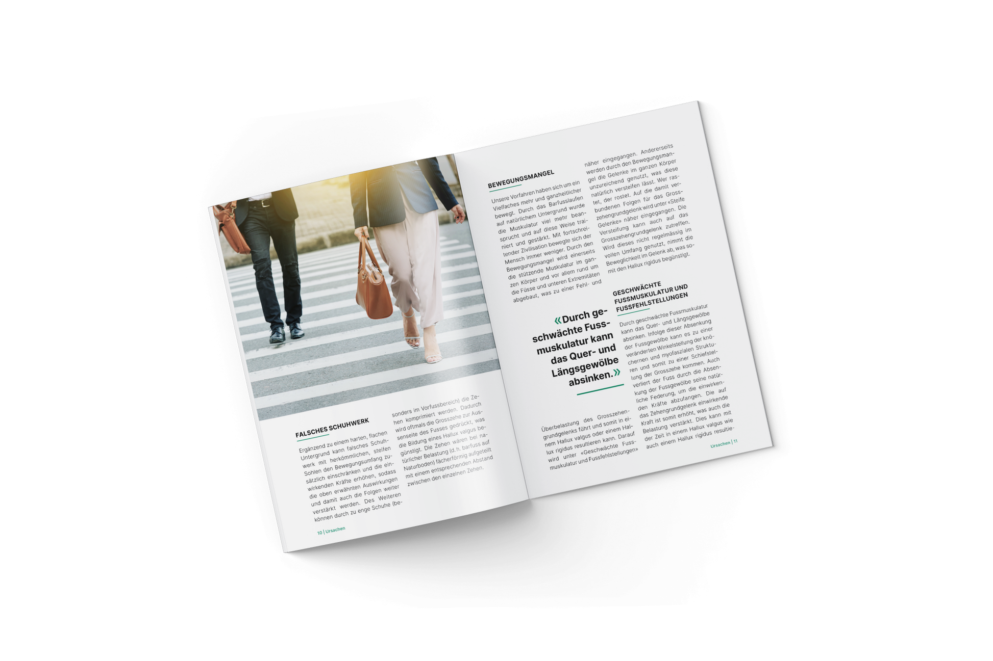 Hallux valgus und Hallux rigidus